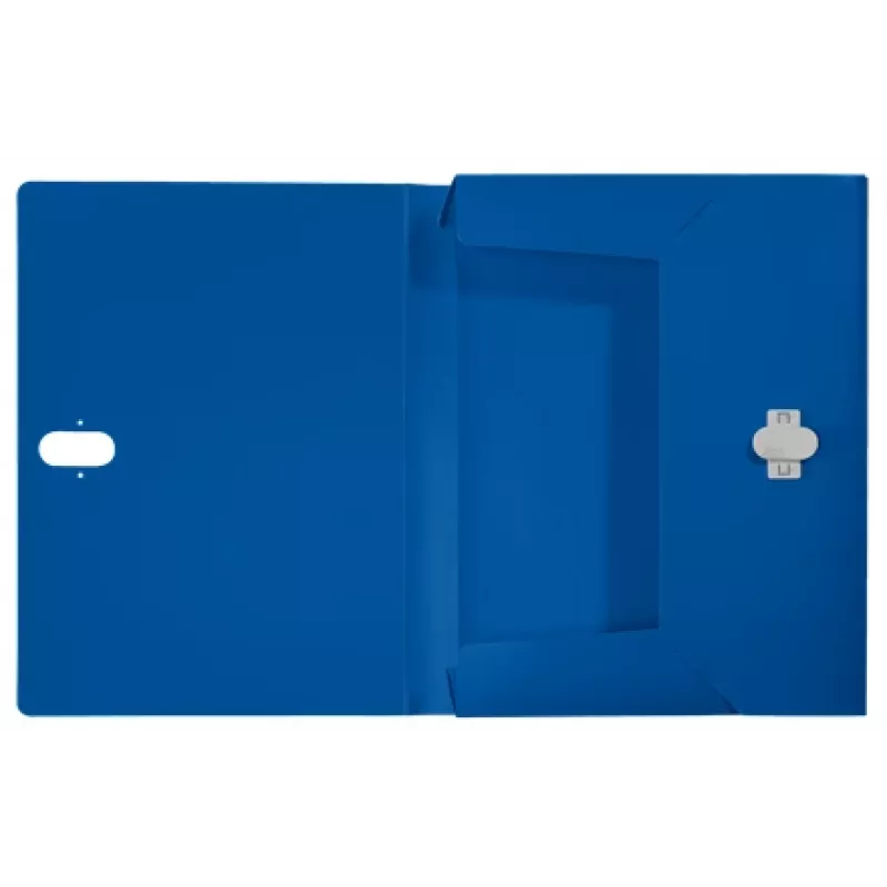 Leitz Recycle Box File, Conventional file folder, A4, Polypropylene (PP), Blue, Landscape/Portrait, 250 sheets