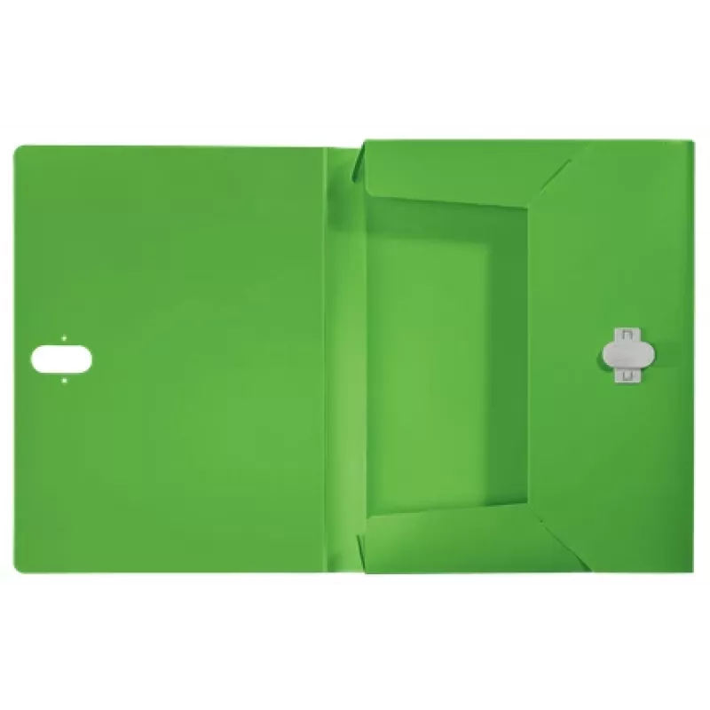 Leitz Recycle Box File, Conventional file folder, A4, Polypropylene (PP), Green, Landscape/Portrait, 250 sheets