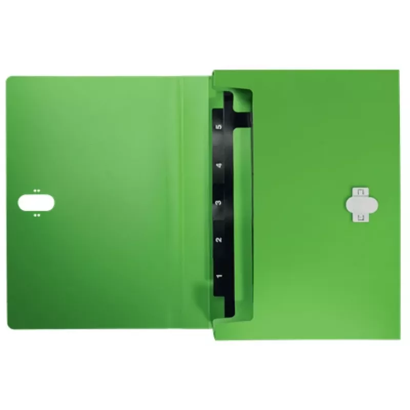 Leitz Recycle Expanding Concertina File, Conventional file folder, A4, Polypropylene (PP), Green, Landscape, 250 sheets