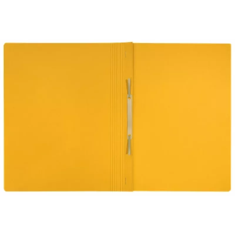 Leitz Recycle Card Flat File, Conventional file folder, A4, Carton, Yellow, Landscape/Portrait, 250 sheets