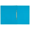 Leitz Recycle Card Flat File, Conventional file folder, A4, Carton, Blue, Landscape/Portrait, 250 sheets