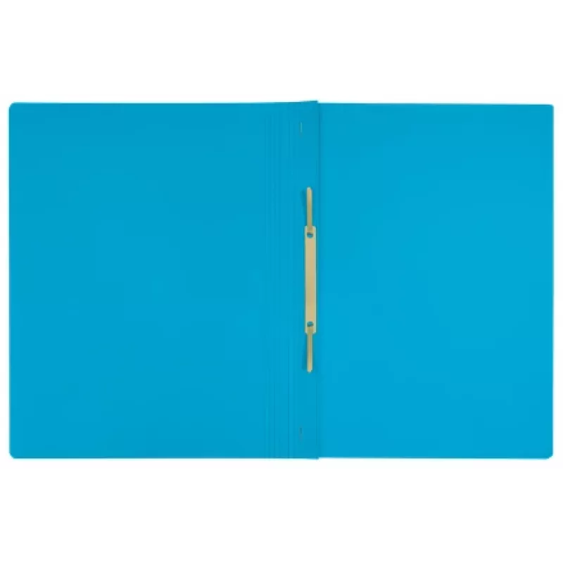 Leitz Recycle Card Flat File, Conventional file folder, A4, Carton, Blue, Landscape/Portrait, 250 sheets