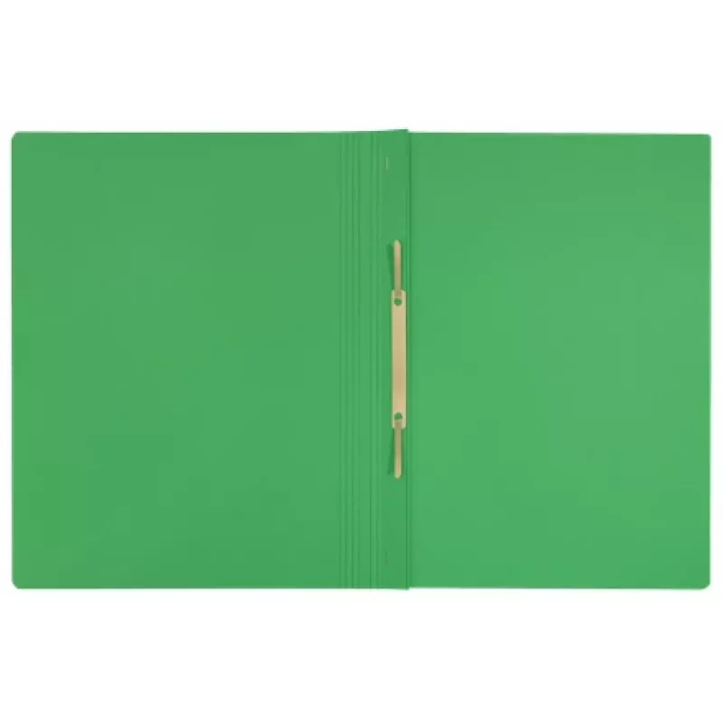 Leitz Recycle Card Flat File, Conventional file folder, A4, Carton, Green, Landscape/Portrait, 250 sheets