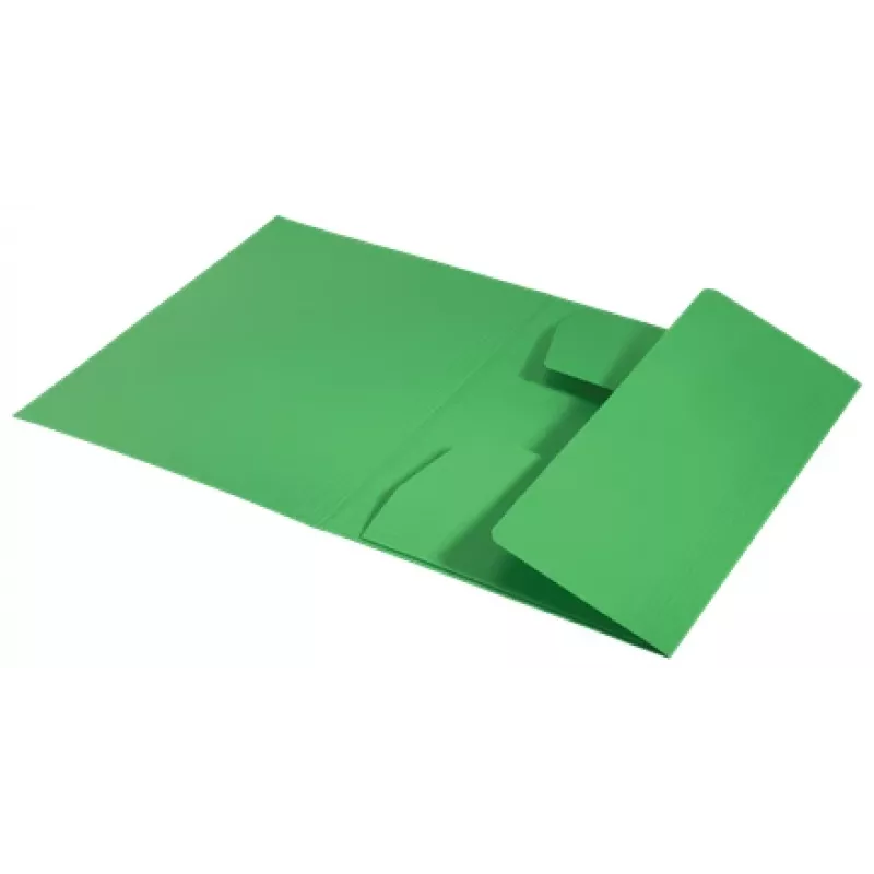 Leitz Recycle Card 3-Flap Folder, Conventional file folder, A4, Carton, Green, Landscape/Portrait, 250 sheets