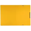 Leitz Recycle Card Folder with elastic bands, Conventional file folder, A4, Carton, Yellow, Landscape/Portrait, 250 sheets