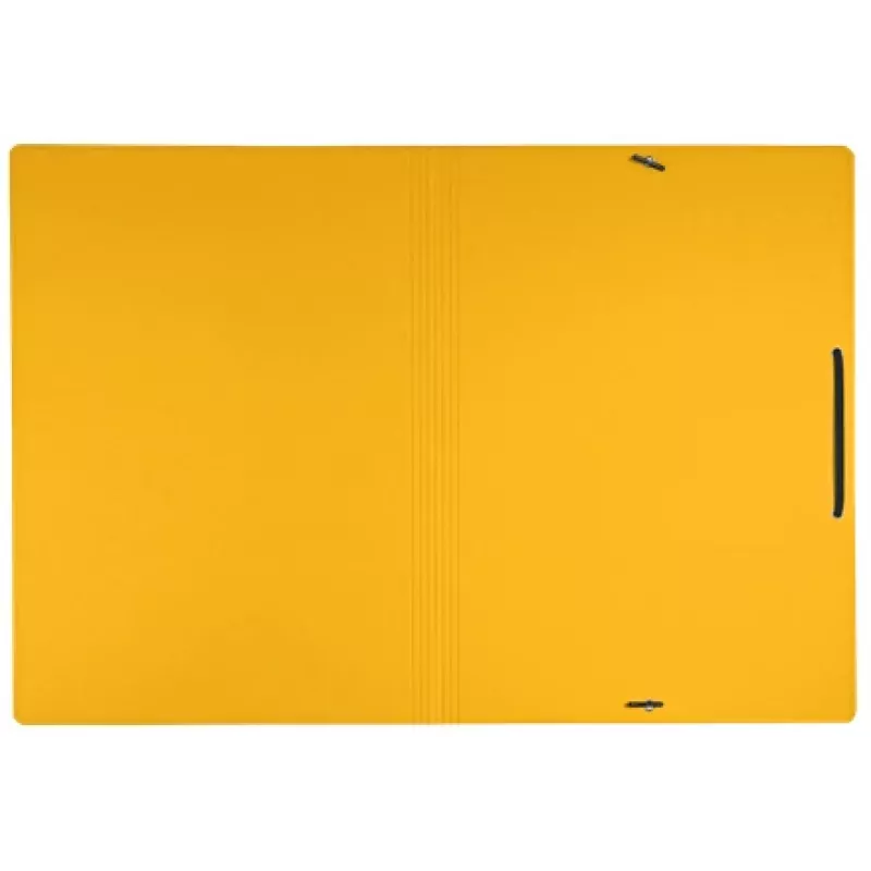 Leitz Recycle Card Folder with elastic bands, Conventional file folder, A4, Carton, Yellow, Landscape/Portrait, 250 sheets
