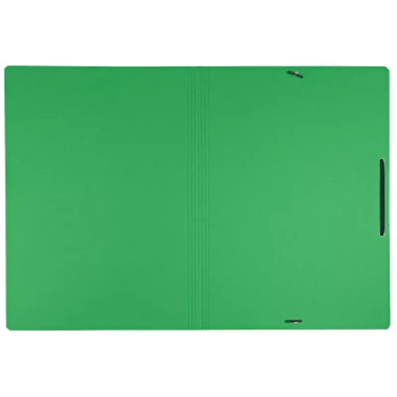 Leitz Recycle Card Folder with elastic bands, Conventional file folder, A4, Carton, Green, Landscape/Portrait, 250 sheets
