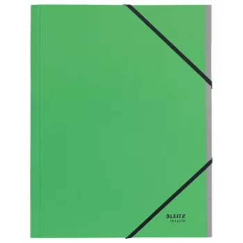 Leitz Recycle Card Divider Book, Signature folder, A4, Carton, Green, 430 g/m², Elastic band