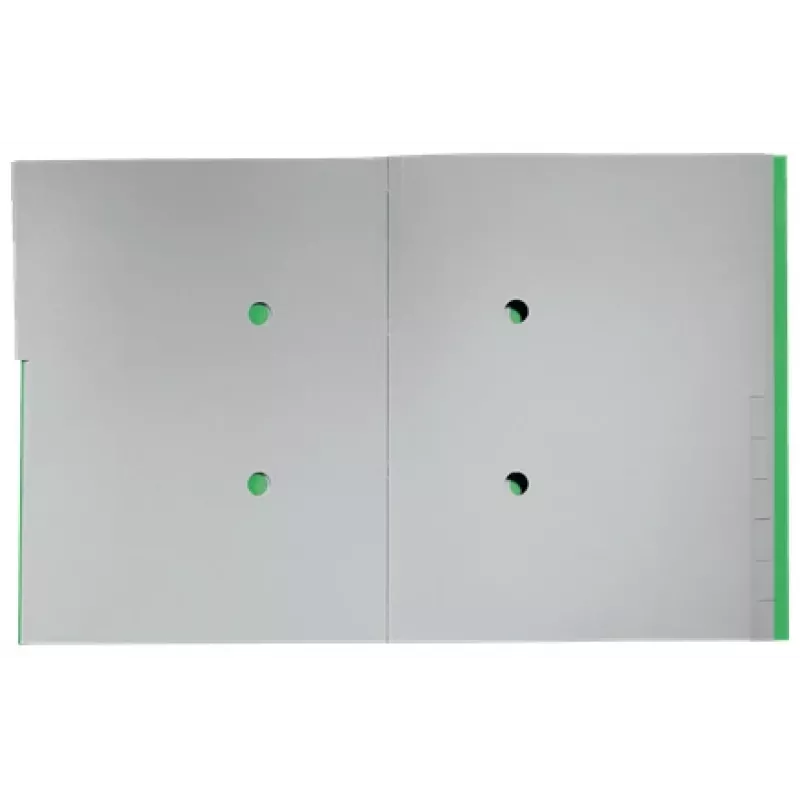 Leitz Recycle Card Divider Book, Conventional file folder, A4, Carton, Green, 430 g/m², Elastic band
