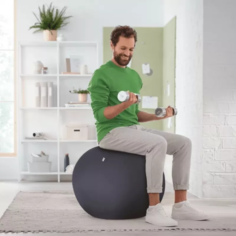 Leitz Ergo Active Sitting Ball with stopper function 65cm, Grey, Full-size, 150 kg, TÜV, 65 cm, 2.87 kg