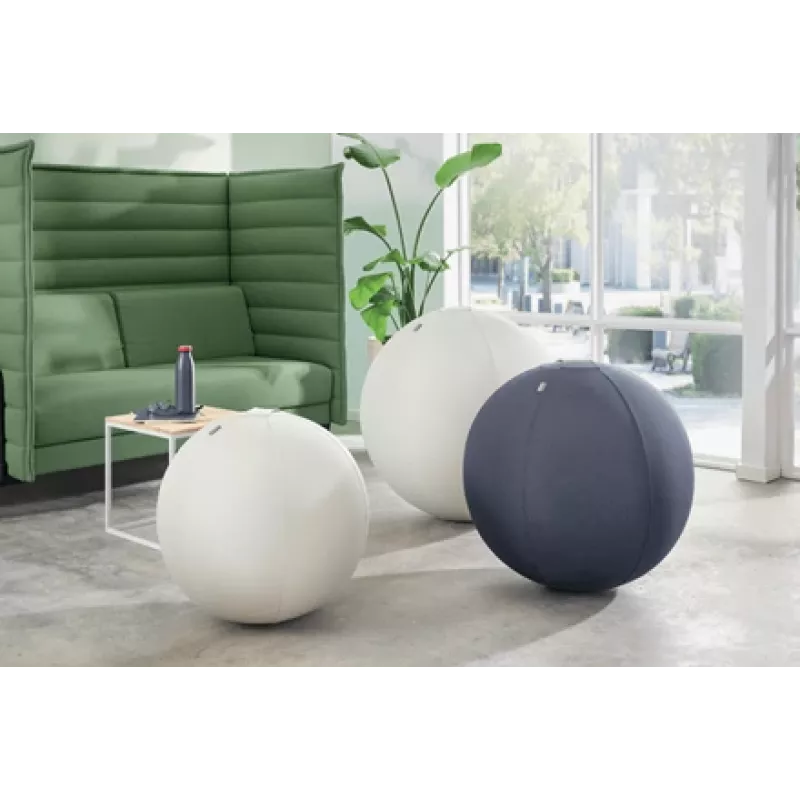 Leitz Ergo Active Sitting Ball with stopper function 65cm, Grey, Full-size, 150 kg, TÜV, 65 cm, 2.87 kg