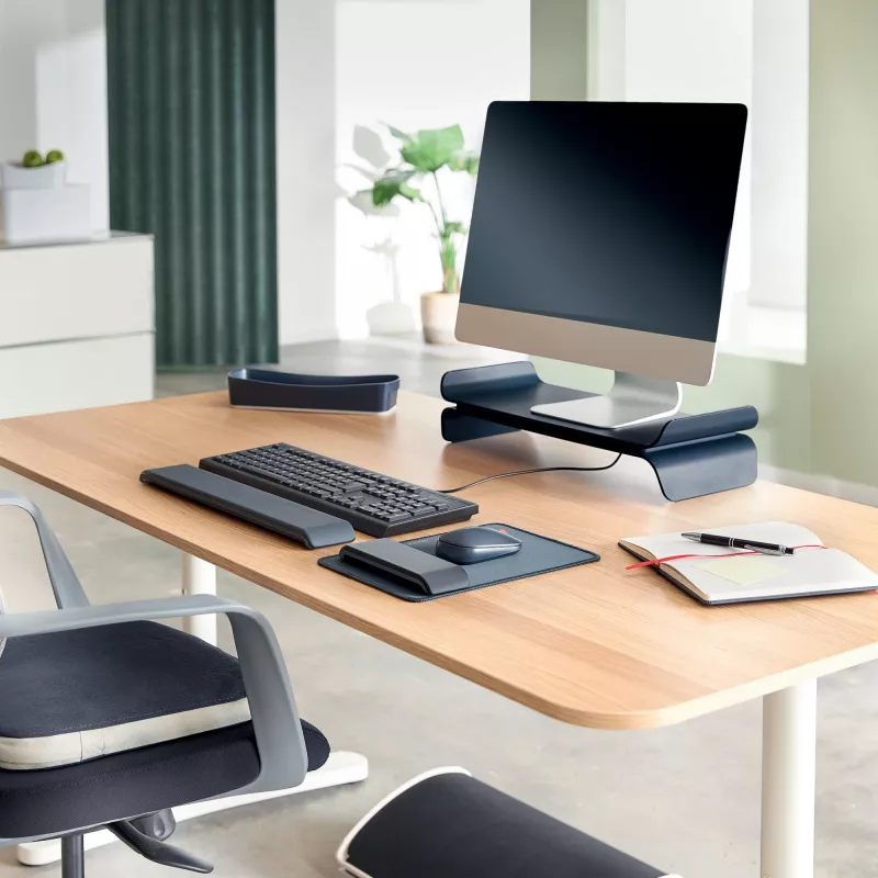 Leitz Ergo Adjustable Keyboard Wrist Rest, Dark Grey, 71 mm, 437 mm, 22 mm, 1 pc(s)