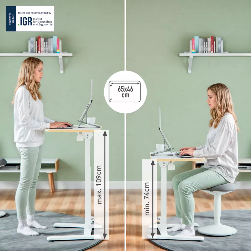 Leitz Ergo Small Foldable Sit Standing Desk