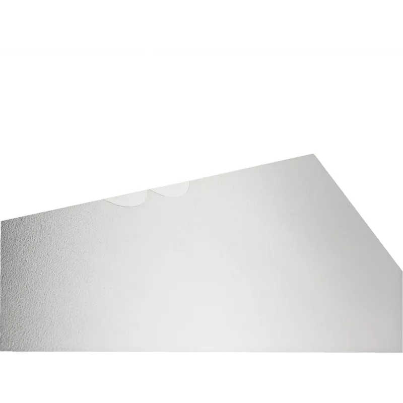 Leitz 47200003 sheet protector A4 Polypropylene (PP)