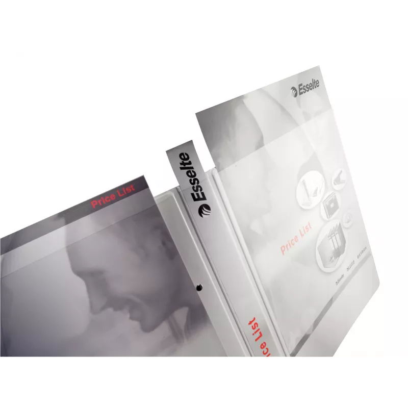 Leitz 42830001 ring binder A4 White