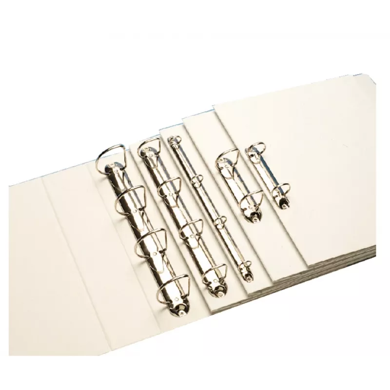 Leitz 42870001 ring binder A4 White