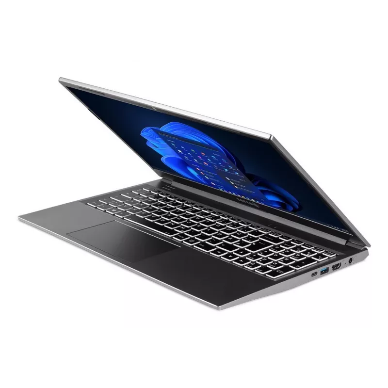 TERRA US1220819 laptop AMD Ryzen™ 5 7430U 39.6 cm (15.6 inch) Full HD 16 GB DDR4-SDRAM 500 GB SSD Wi-Fi 6E (802.11ax) Windows 11 Home US English Silver