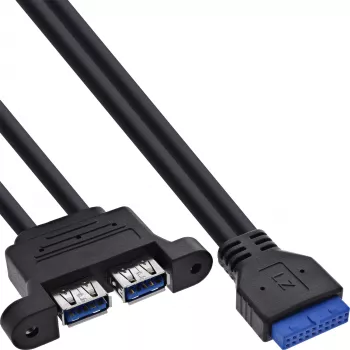 InLine 33390K Internal USB 3.2 Gen 1 Cable, Motherboard to 2x USB-A Female, 0.45m