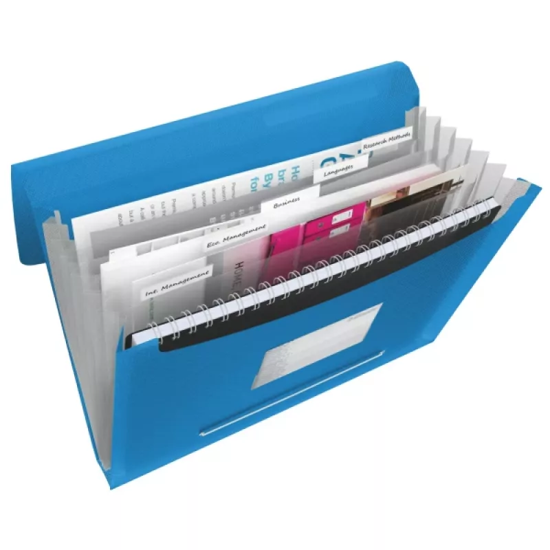 Esselte Project File Vivida PP, A4, Polypropylene (PP), Blue, 300 sheets, 260 mm, 25 mm