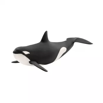 schleich WILD LIFE Killer Whale, 3 yr(s), Ice & Ocean, Wild animals / adventure toys, Multicolour, Plastic, 1 pc(s)