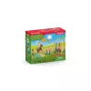 schleich Pony agility training, Agility, Farm animals / farm toys, 3 yr(s), Multicolour, Plastic