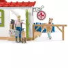 schleich Veterinarian practice with pets, Farm, Farm animals / farm toys, 3 yr(s), Multicolour
