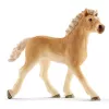 schleich Veterinarian practice with pets, Farm, Farm animals / farm toys, 3 yr(s), Multicolour
