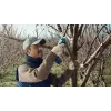 Bosch Pro Pruner Professional cordless grass shear 2.5 cm 12 V Lithium-Ion (Li-Ion) Black, Blue