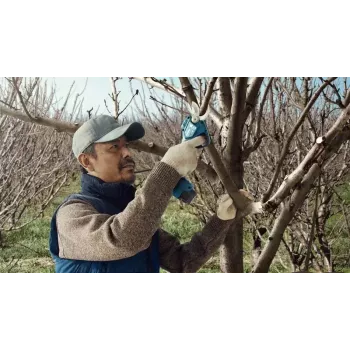 Bosch Pro Pruner Professional cordless grass shear 2.5 cm 12 V Lithium-Ion (Li-Ion) Black, Blue