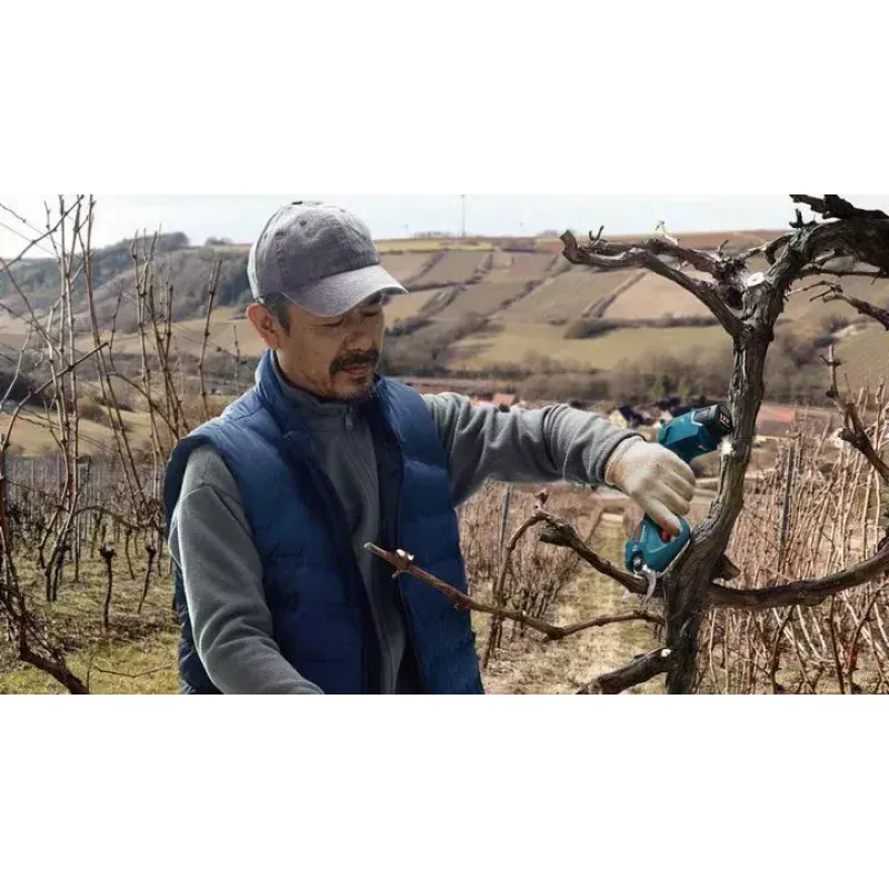 Bosch Pro Pruner Professional cordless grass shear 2.5 cm 12 V Lithium-Ion (Li-Ion) Black, Blue