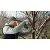 Bosch Pro Pruner Professional cordless grass shear 2.5 cm 12 V Lithium-Ion (Li-Ion) Black, Blue