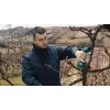 Bosch Pro Pruner Professional cordless grass shear 2.5 cm 12 V Lithium-Ion (Li-Ion) Black, Blue