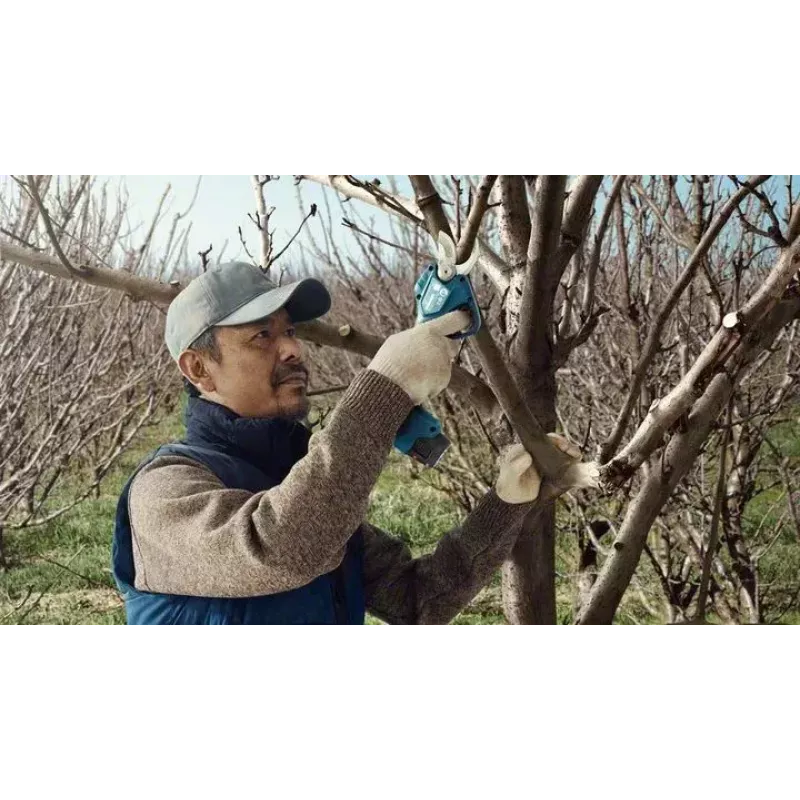 Bosch Pro Pruner Professional cordless grass shear 2.5 cm 12 V Lithium-Ion (Li-Ion) Black, Blue