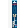 Flat drill bit Bosch SELFCUT 17 x 152 mm (2608900316) for wood drilling