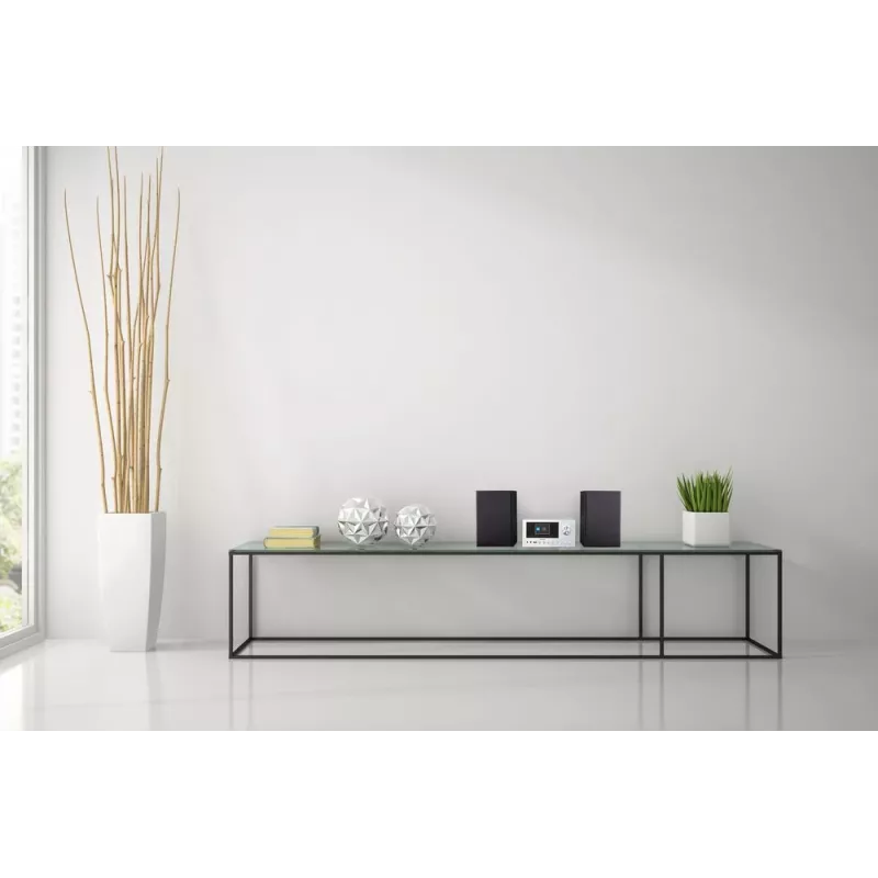 MEDION LIFE P85003 Home audio micro system 30 W Black, Silver