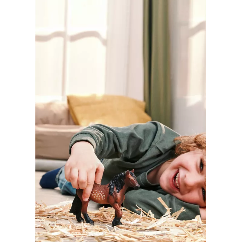 schleich FARM WORLD 14927 children's toy figure