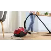 Bosch BGS21CAR vacuum 2 L Drum vacuum Dry 750 W Bagless