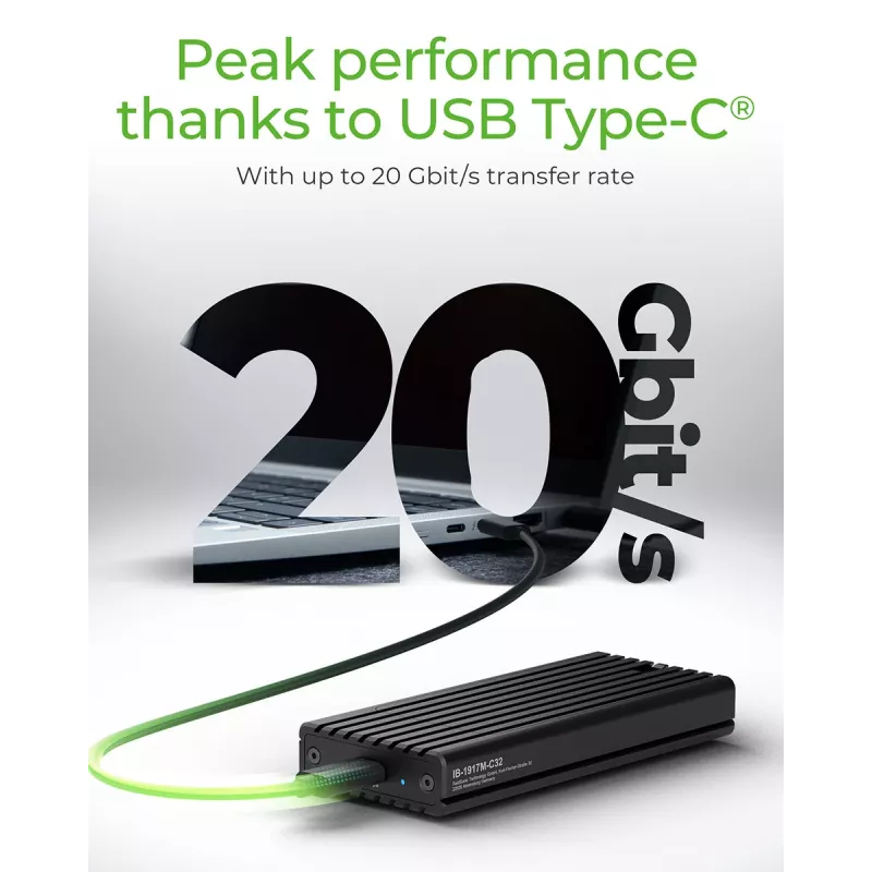 ICY BOX IB-1917M-C32 SSD enclosure Black M.2 USB powered