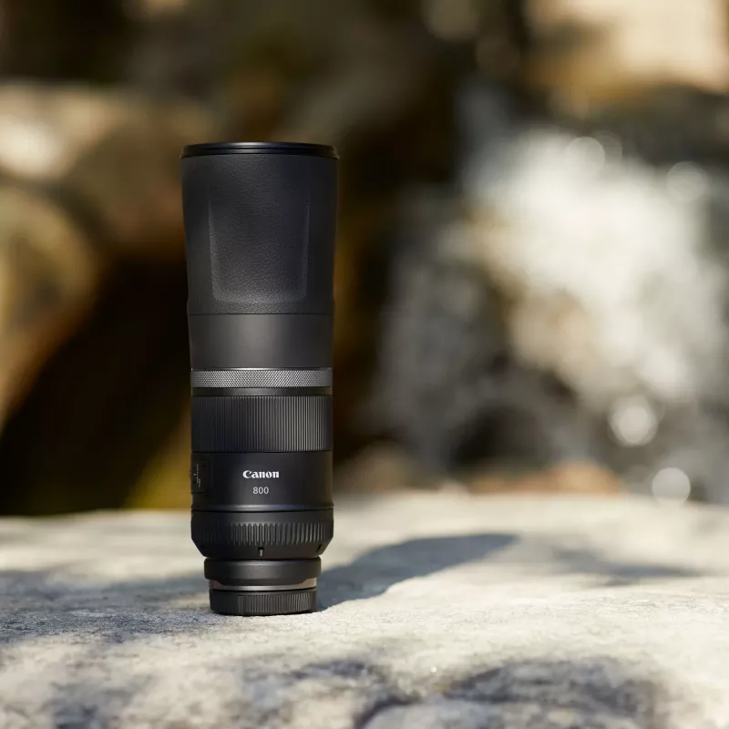 Canon RF 800mm F11 IS STM Lens, Telephoto lens, 11/8, Canon RF