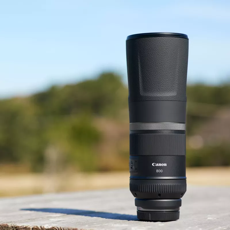 Canon RF 800mm F11 IS STM Lens, Telephoto lens, 11/8, Canon RF