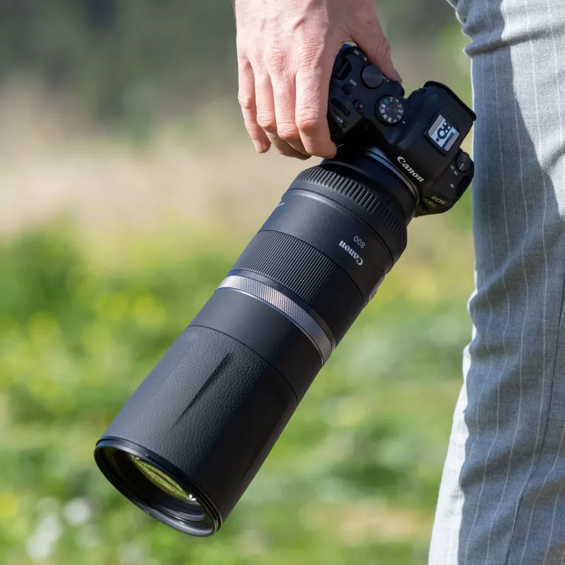 Canon RF 800mm F11 IS STM Lens, Telephoto lens, 11/8, Canon RF