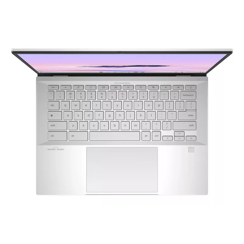 ASUS Chromebook Plus Enterprise CB54 CB5403CMA-QM0916 Intel Core Ultra 7 155U 35.6 cm (14 inch) Touchscreen WQXGA 16 GB LPDDR5x-SDRAM 256 GB SSD Wi-Fi 6E (802.11ax) ChromeOS US International Silver