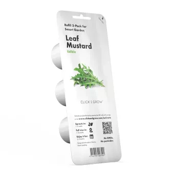 Planter EMSA Click & Grow