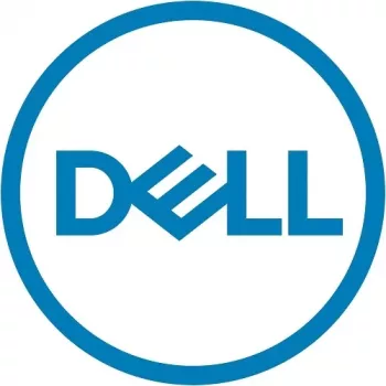 DELL 400-BONG internal solid state drive 480 GB M.2