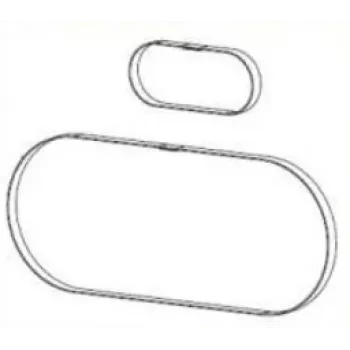 Zebra P1046696-145 printer/scanner spare part/accessory Belt 2 pc(s)