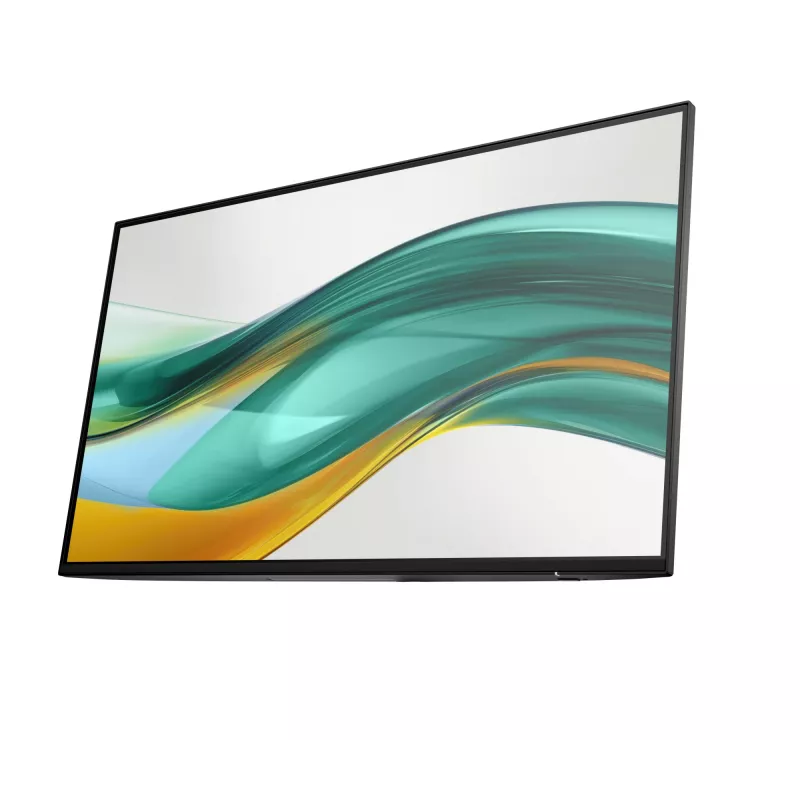 HP Series 5 Pro 23.8 inch FHD No Stand Monitor - 524pf