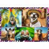Jigsaw Puzzle TREFL Funny — 4 x 250 pieces, children's themed set