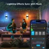 Outdoor Wall Light Govee H7078CD1 Smart RGB color-changing, Wi‑Fi/Smart control