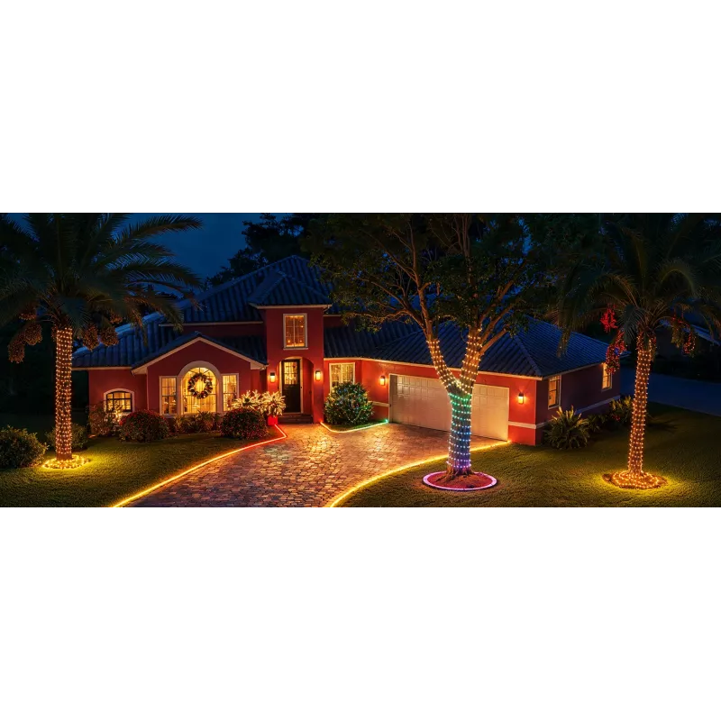 String lights Govee H80C4 20m RGBWIC LED strip with smart control
