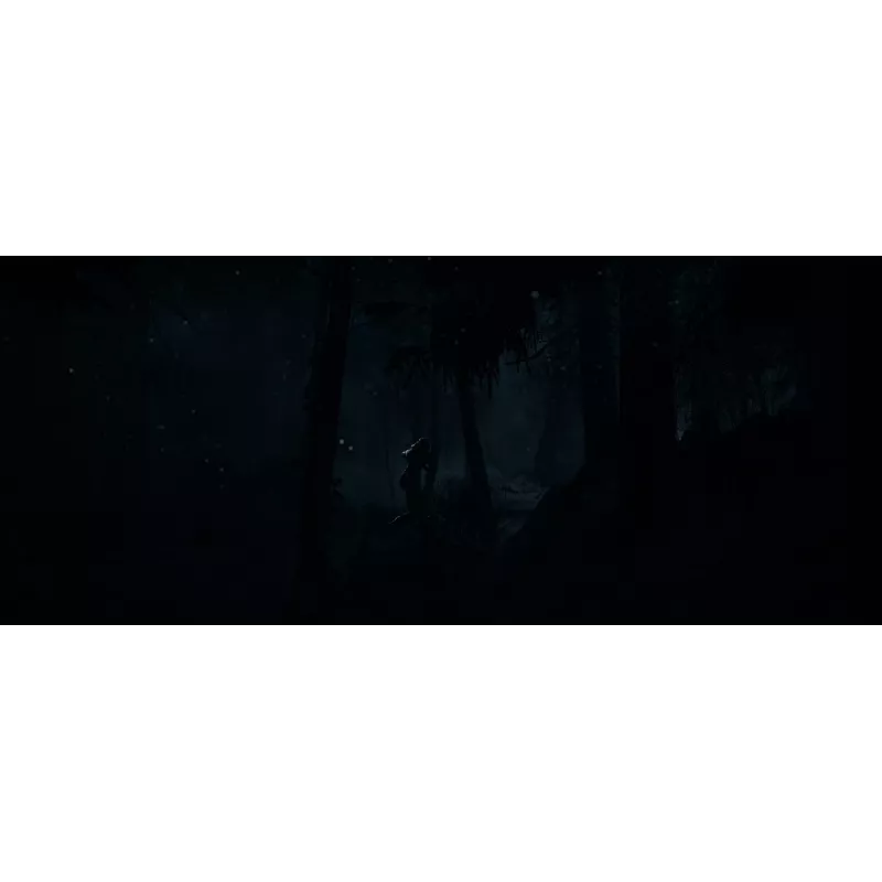 Sony Until Dawn Standard Multilingual PlayStation 5